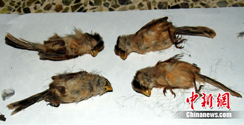 ͼΪ�Ѿ������������Σ������ѻȸ��