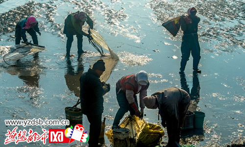 ������Ϻ��ڸ����