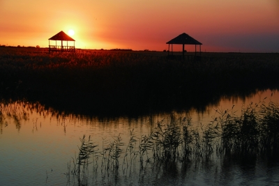 ��������Ӱ